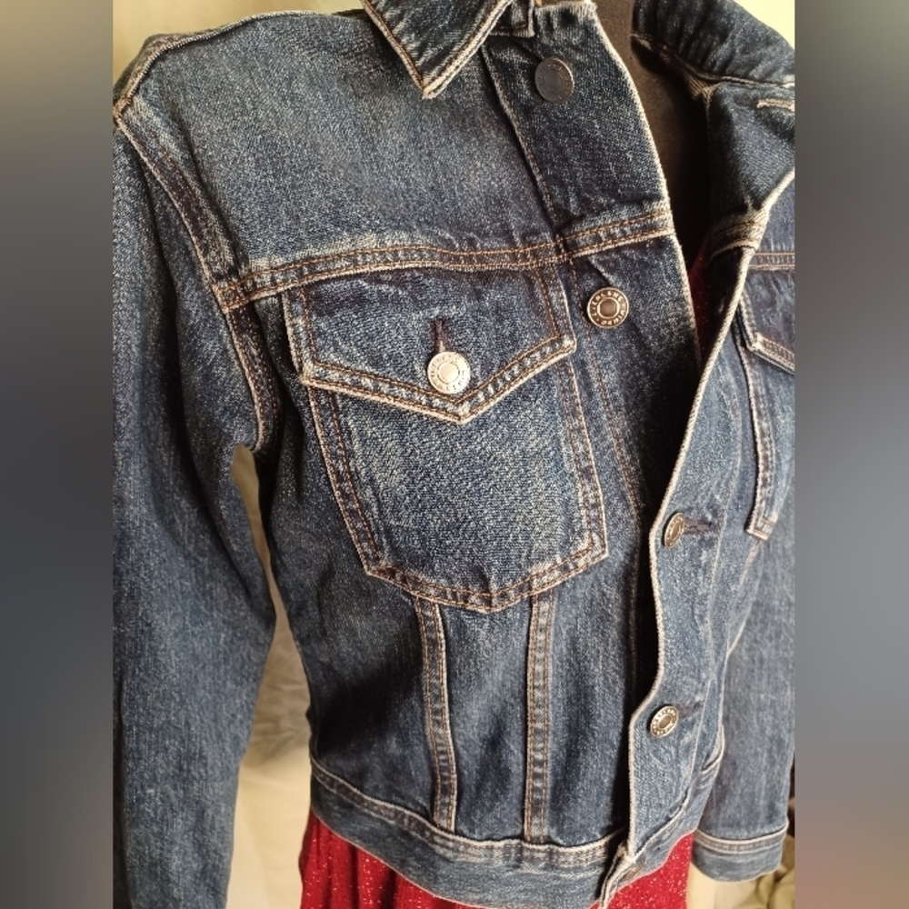 Everlane The Shrunken Denim Jacket
